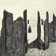 Soho Photo 2016 National Alternative Processes Competition