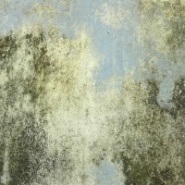 "Deceived with Ornament" Gina Parr & Ian Hoskin Photography 