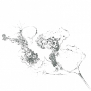 Some Misunderstanding