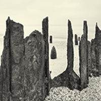 Soho Photo 2016 National Alternative Processes Competition