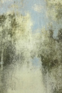 "Deceived with Ornament" Gina Parr & Ian Hoskin Photography 