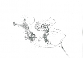 Some Misunderstanding