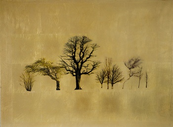 Dormientas Saltus I (Medium) by Robert Pereira Hind