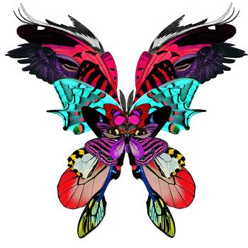 Hvit Ljosabox par Kristjana S Williams