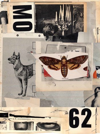 death's head moth by Micosch Holland