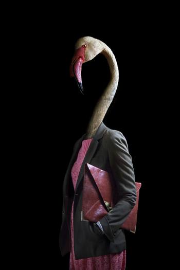 Flamingo – Portrait Number Forty von Miguel Vallinas Prieto