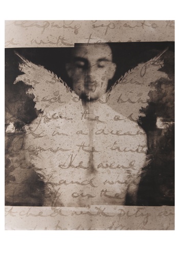 Textwing par Martin Thompson