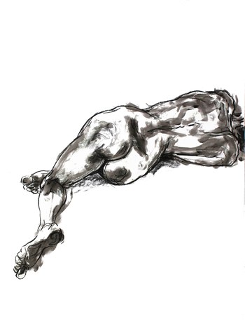 Feet First by Richard Storey