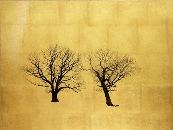 Arboretum Winter II (Large) by Robert Pereira Hind