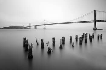 Batesian Mimicry by Geoffrey Ansel Agrons