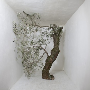 Strike your Balance par Riccardo Cavallari