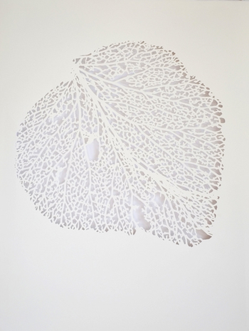 No title (3) par Eva Santín