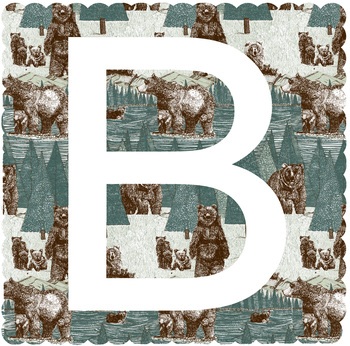 B is for Bear  by Clare Halifax