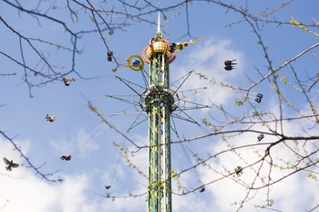 TIVOLI by Andrew Lever