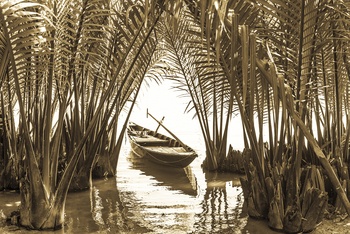 BOAT AMONGST PALMS  by Andrew Lever