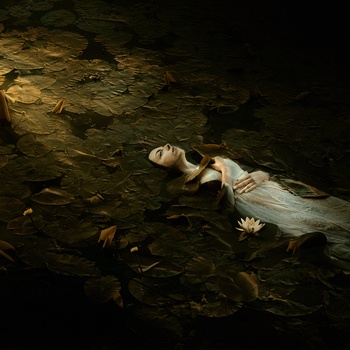 I Wish I Was Special von Martin Stranka