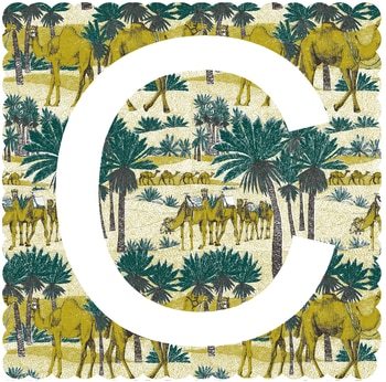 C is for Camel  by Clare Halifax