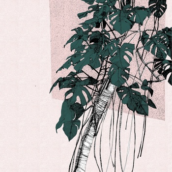 A piece of swiss cheese Artist's Proof by Clare Halifax