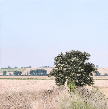 August Morning  von Christopher Witchall