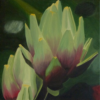 Artichoke by Christo Sharpe