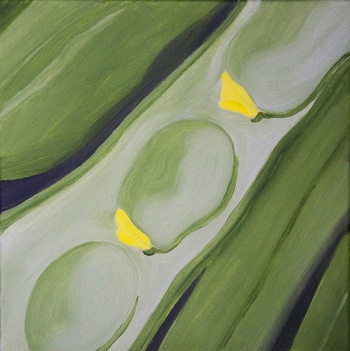 Broad beans von Christo Sharpe