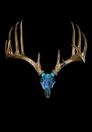 Metis  by Lauren Baker