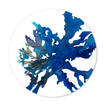 Tama by Corinne Natel