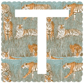 T is for Tiger  by Clare Halifax