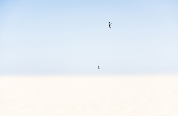 Anti Gravity by Andrew Lever