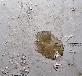 Determination by Sri Pramono