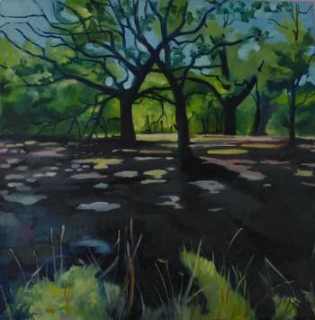 'in this shady grove' by Alison Chaplin