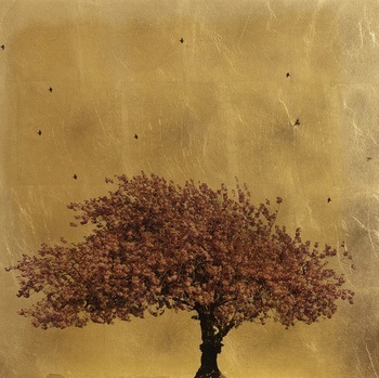 Prunus Serrulata II by Robert Pereira Hind