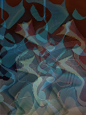 Kangaroo Conga Line by Reed Hearne