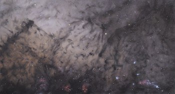 Lacuna by Mark Castle