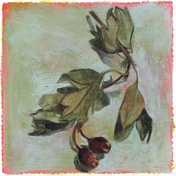 Old hawthorn by Simon M Smith