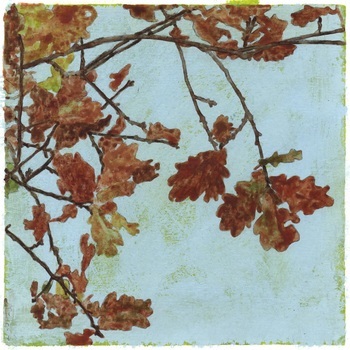 Oak leaves against a bright blue sky by Simon M Smith