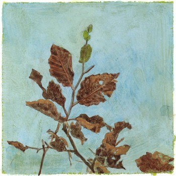 Beech leaves against the sky by Simon M Smith