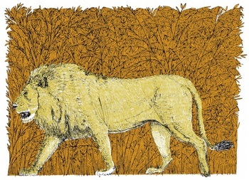 Little Big Cat - Lion  by Clare Halifax