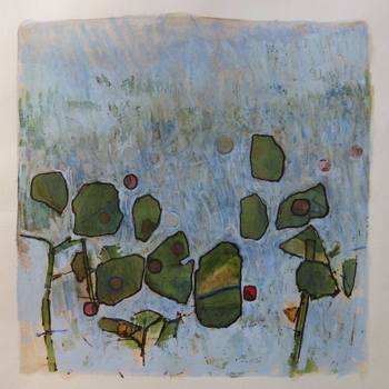 Seed pods von Simon M Smith