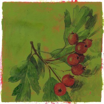 Hawthorn on green by Simon M Smith