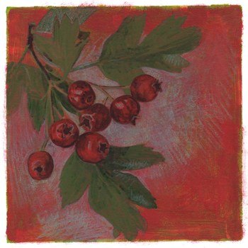 Hawthorn on red by Simon M Smith