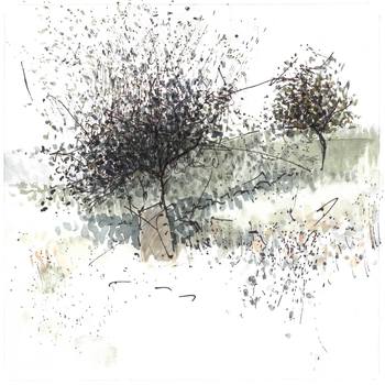 Two trees on a hillside von Simon M Smith