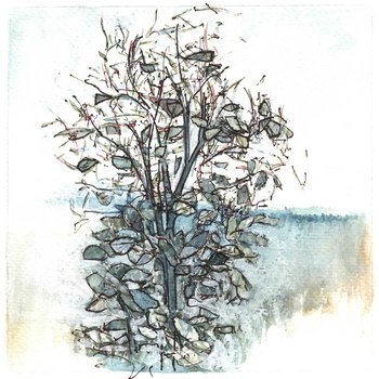 Growth von Simon M Smith