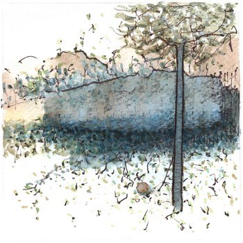 Tree and stone von Simon M Smith