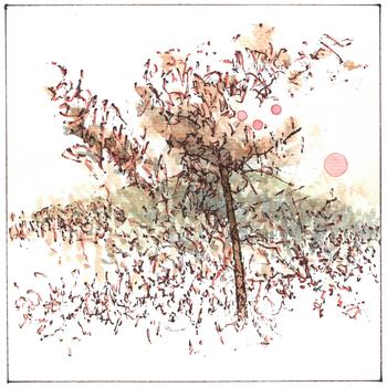 Pink sun von Simon M Smith