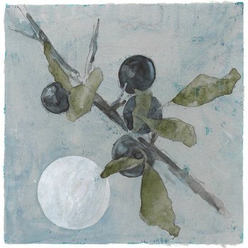 Sloes and moon by Simon M Smith
