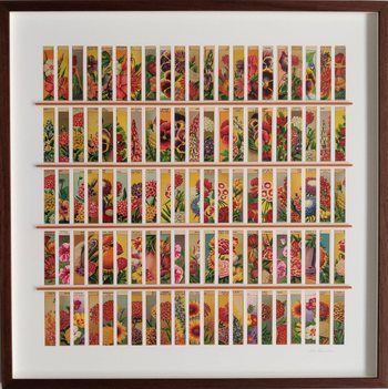 Saint-Cloud von Adam Robinson