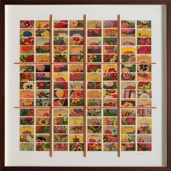 Chantilly von Adam Robinson