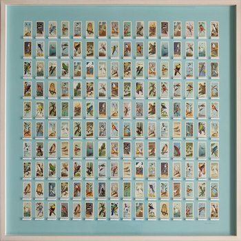 Sanctuary von Adam Robinson