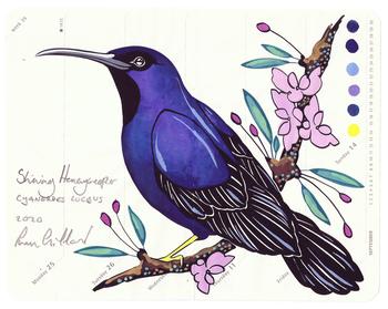 Shining Honeycreeper von Fran Giffard